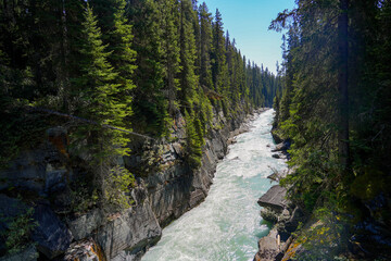 Kootenay River flowing through a canyon on the Numa Creek Trail in the Kootenay National Park,...