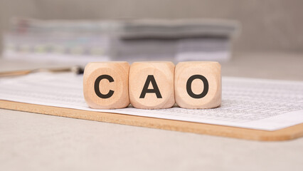 Wooden cubes forming the acronym "CAO" placed on a financial document in an office setting