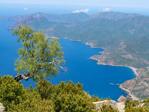Corse - Randonn&eacute;e - Capu d'Orto