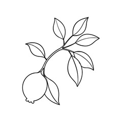 Citrus Lemon Branch Line Art