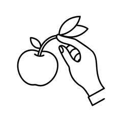 Woman Hand Holding Apple Illustration