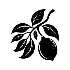 Citrus Lemon Twig Black Vector
