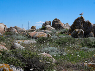 Corse - Île Lavezzi
