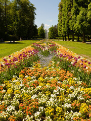 Blumenpracht im Kurpark von Bad Pyrmont