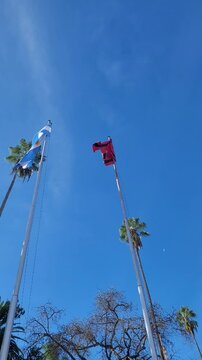 The flag of Argentina and the province of Salta waving in the wind in a park