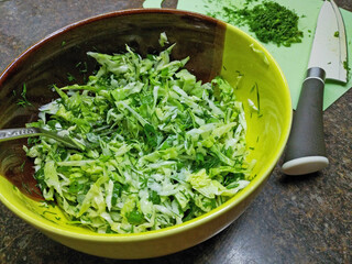 light salad of cabbage, cucumbers, green onions and dill. tasty, healthy, dietary salad. healthy eating. summer dinner