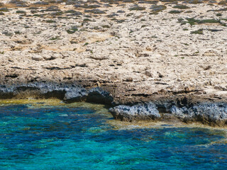 Rocky Mediterranean coastline with beige and gray stone formations, sparse vegetation, and clear turquoise waters near Ayia Napa, Cyprus.