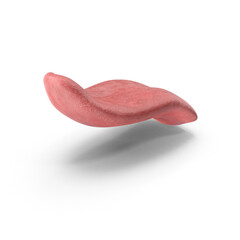  Tongue Isolated on Transparent Background