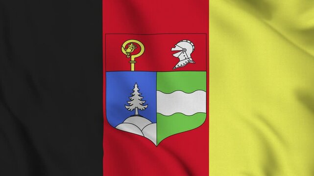 Flag of Saugeais &ndash; 4K Seamless Loop of the French Micronation&rsquo;s Banner