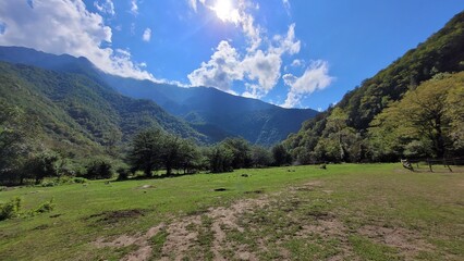 Fototapeta premium mountain landscape in the summer