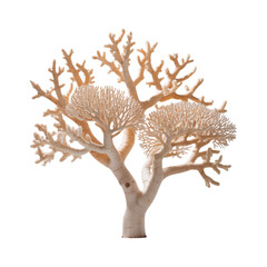 An ethereal tree of branching coral reaching for the sky evoking a sense on transparent background