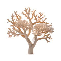 Fototapeten Korallentiere An ethereal tree of branching coral reaching for the sky evoking a sense on transparent background  © Sultan