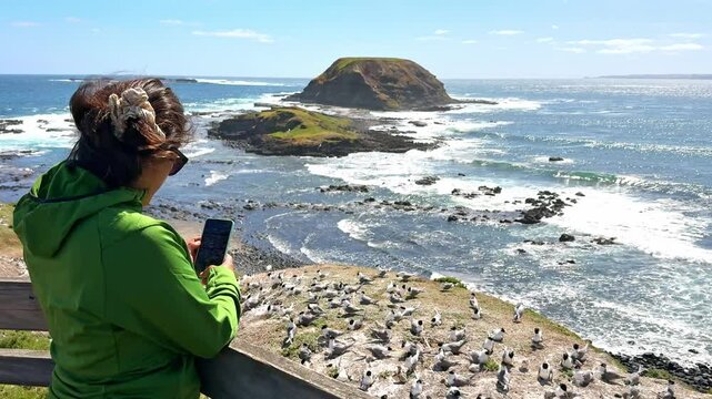 Woman photographing seabirds along the coast at Phillip Island, Australia