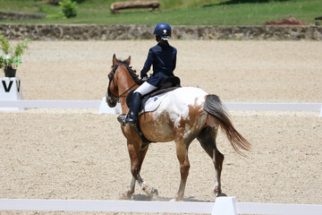 Rider Performing Dressage Test with Horse in Competition Arena