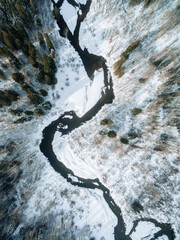 Drone arial photography in the forest 