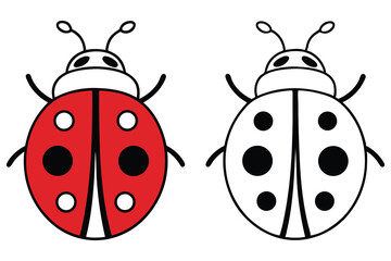 Cute cartoon ladybugs in red and white, isolated on white background