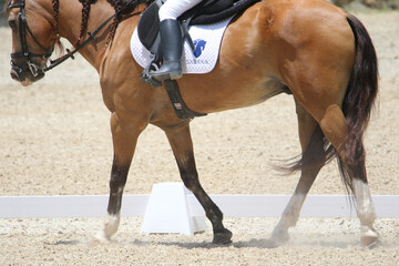 Rider Performing Dressage Test with Horse in Competition Arena