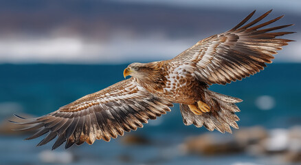 Fototapeta premium Bald Eagle in Flight Over the Ocean, Symbolizing Freedom and American Pride, Ideal for Travel and Wildlife Conservation Campaigns