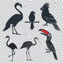 Obraz premium Pack of exotic bird silhouettes including parrot, toucan, hornbill, flamingo, and crane, vector-style black shapes with transparent background