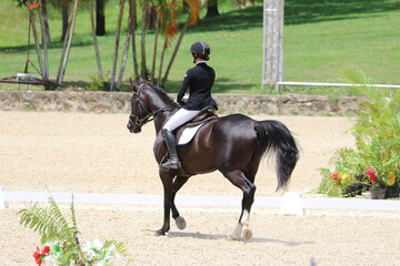 Rider Performing Dressage Test with Horse in Competition Arena