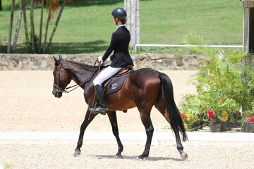 Rider Performing Dressage Test with Horse in Competition Arena