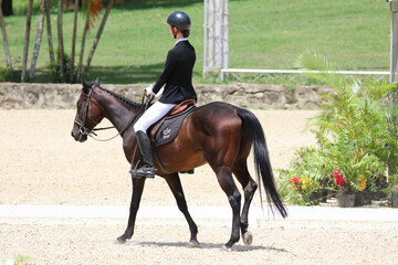 Rider Performing Dressage Test with Horse in Competition Arena
