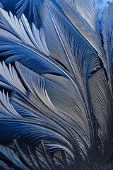 Frost Ferns on Shadowed Glass 02