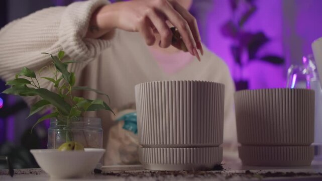 Adding perlite to flowerpot for plant drainage