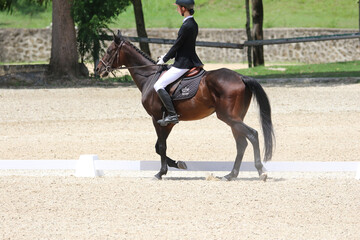 Rider Performing Dressage Test with Horse in Competition Arena