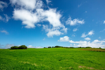 Blue sky and green hills