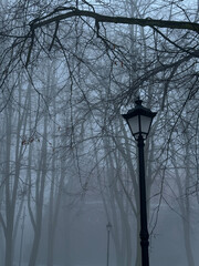 An old street lamp rises amidst tall, bare trees enveloped in thick morning fog. The photo conveys an atmosphere of isolation, mystery, and calmness in a winter or autumn park.