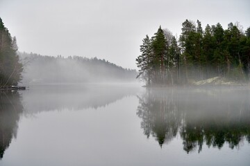 Misty Lake with Reflecting Pines
