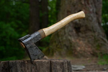 Finnish axe stuck into a stump in the forest
