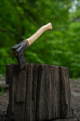 Finnish axe in the green forest.