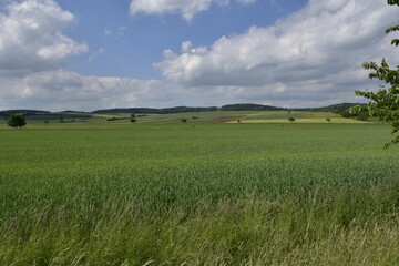 Landschaft und Ausblick bei Bodenwerder 
