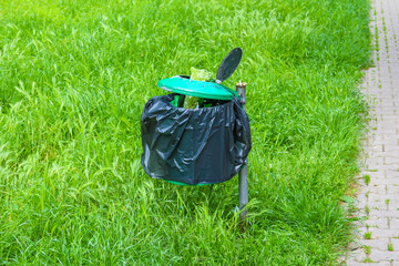 Black waste bag with blue handle placed on green grass near concrete pathway edge