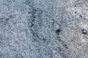 Abstract gray concrete wall surface showing natural weathered texture and subtle color variations