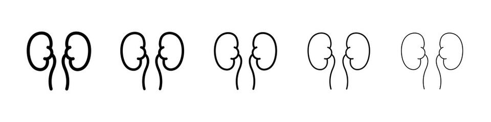 Kidneys icon graphic set. trendy stroke line style