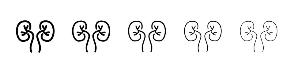 Kidneys icon graphic set. trendy stroke line style