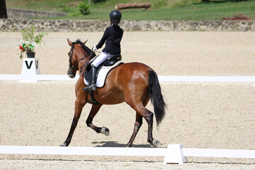 Rider Performing Dressage Test with Horse in Competition Arena