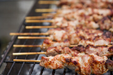 Greek traditional Soulvaki (plural souvlakia). A popular delicious Greek food consisting of small pieces of meat on a skewer. A practice historically dates back to the Bronze Age and Mycenaean Greece.