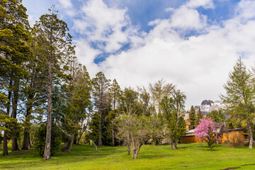 Villa Traful, Neuquen, Andean Patagonia, Argentina.