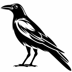 Black crow vector illustration raven graphic design bird silhouette drawing isolated animal clip art image for logo