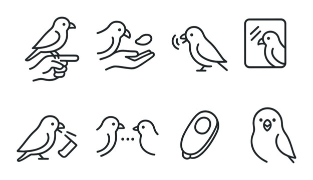 Birdwatching linear icon set. ornithology and avian symbols for nature enthusiasts