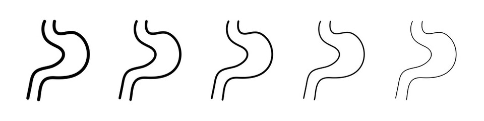 Stomach icon graphic set. trendy stroke line style