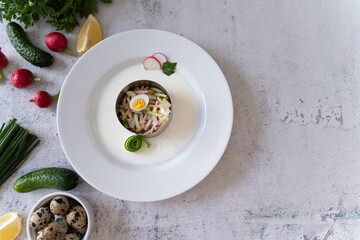Ready to serve tasty okroshka on light gray background