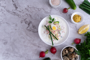 Ready to serve tasty okroshka on light gray background