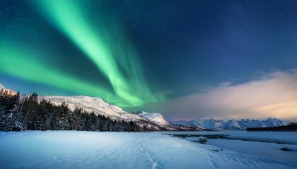 Naklejka premium tranquil view of the northern lights over a snowy landscape