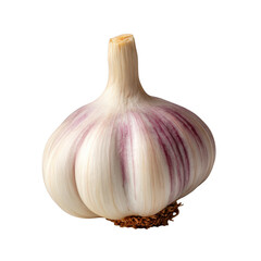 Single garlic bulb isolated on transparent background