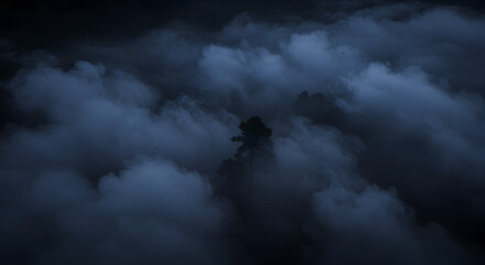 Fototapeta premium Eerie landscape with trees in the fog, dark and moody.